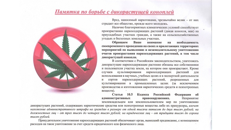 3 pam 2025 06 19